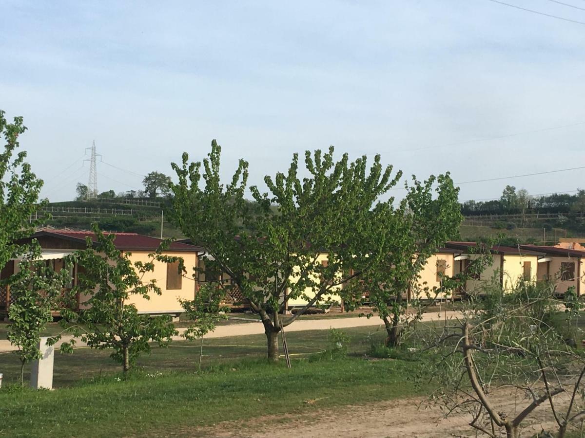 Agriturismo La Palazzina Castelnuovo del Garda Esterno foto
